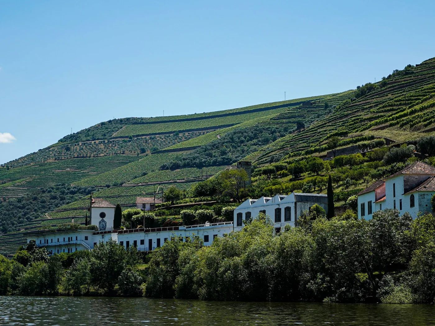A quinta and village among the Douro vineyards